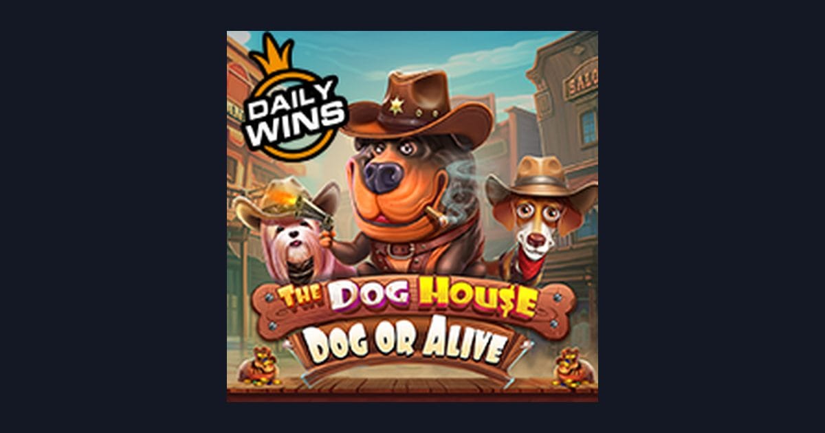 The Dog House Dog Or Alive: Serunya Main Slot dengan Modal Depo 5 Ribu