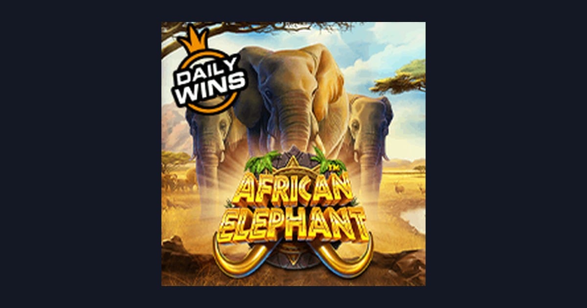 Menaklukkan African Elephant: Slot Anti Rungkad dengan Fitur Wild Gacor